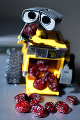 吃葡萄干的机器人