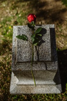 玫瑰的墓碑